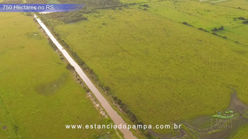 Os Tiranos - Bailando o chamamé [VDownloader].00_03_39_13.Quadro022_5ac19cd9463d092979f4c4168de117aaede78847.jpg